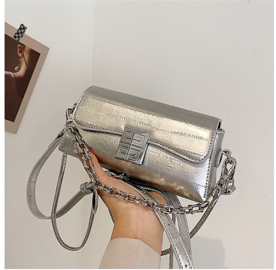 Fashionable commuting fishbone chain crossbody bag, internet famous and popular, lock buckle and stick bag